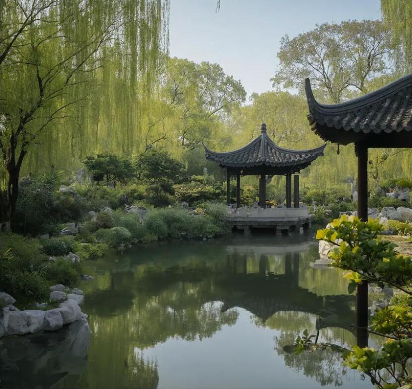 雨湖区空梦建设有限公司